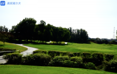 高爾夫教學(xué)：四桿洞，相對(duì)較短的6號(hào)洞如何打？